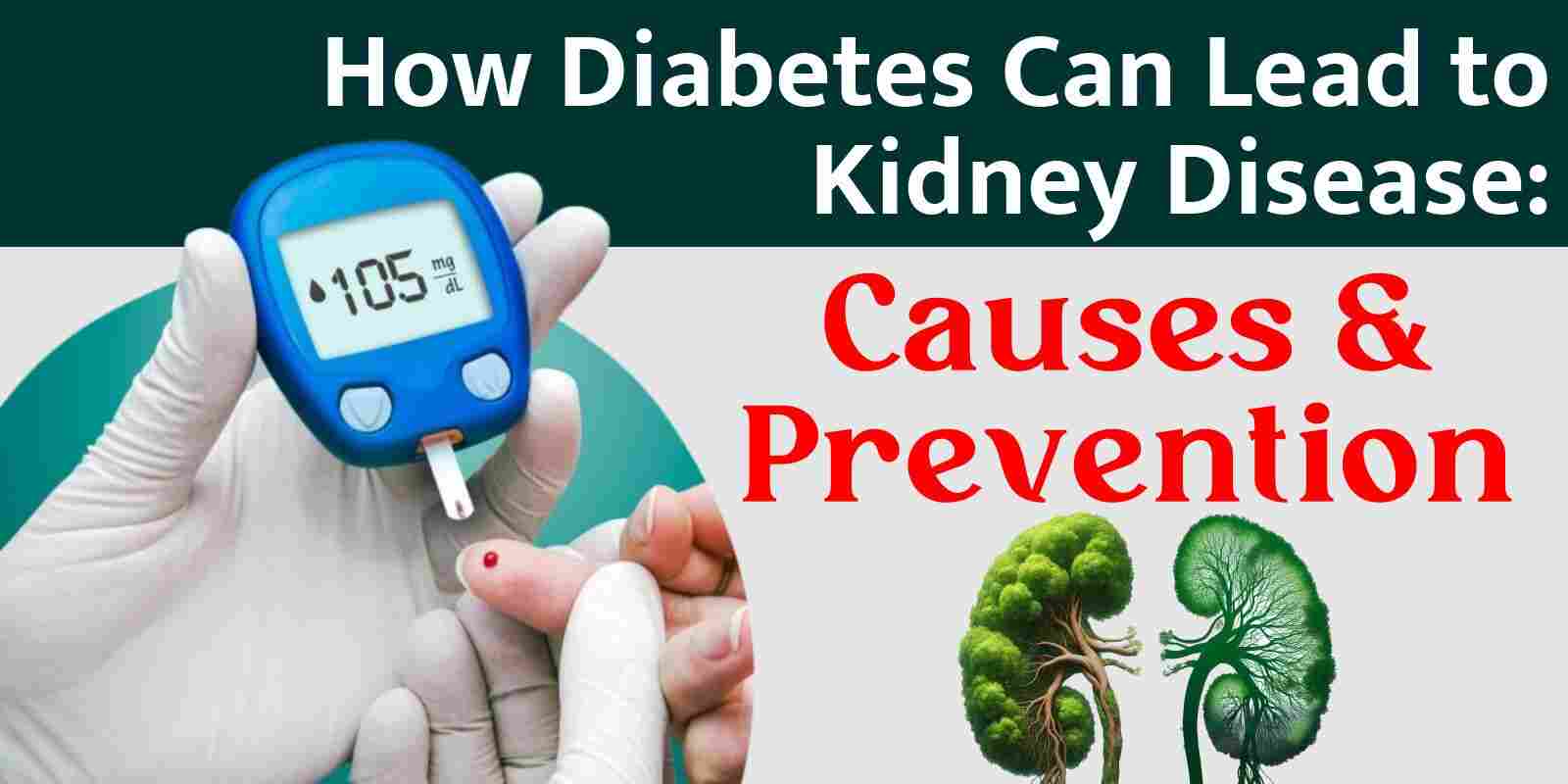 diabetes develop kidney disease, best Ayurvedic kidney treatment